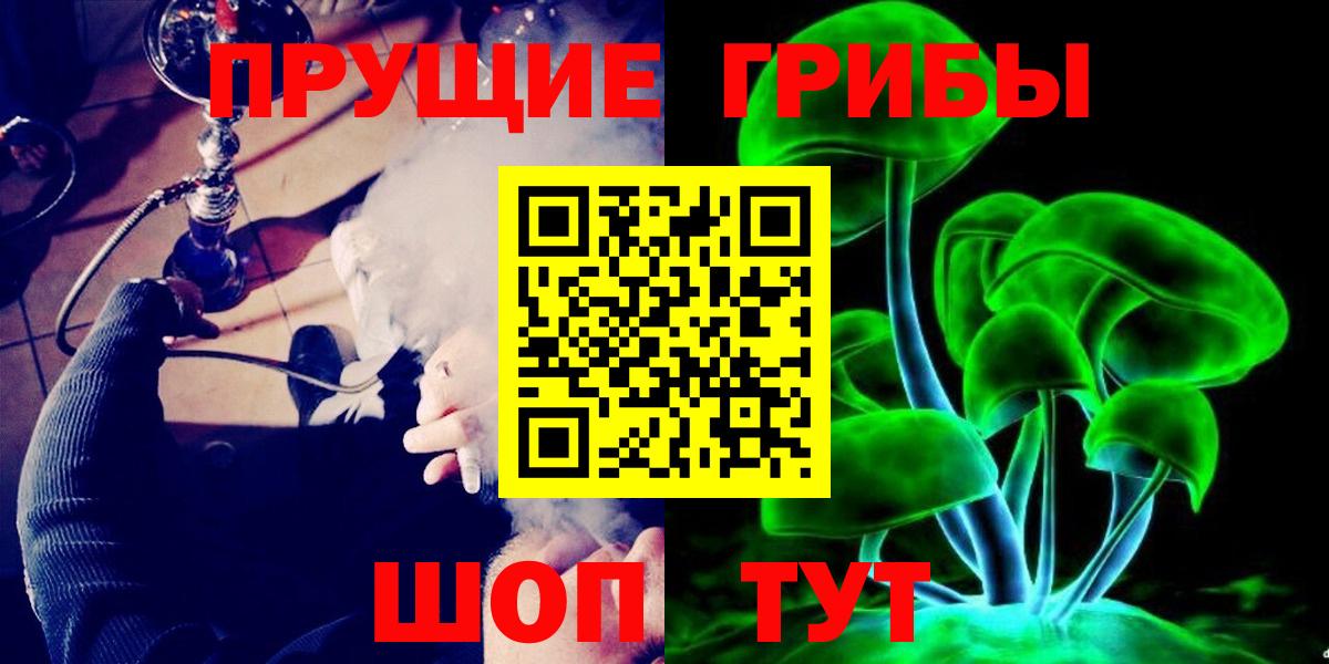 Галлюциногенные грибы Psilocybine cubensis Коряжма