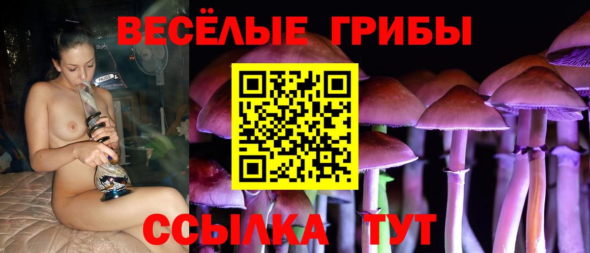 Псилоцибиновые грибы Psilocybine cubensis  Вход с VPN  Коряжма  Галлюциногенные грибы Magic Shrooms 